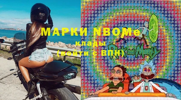 индика Богородск