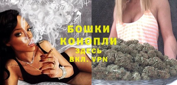 индика Богородск