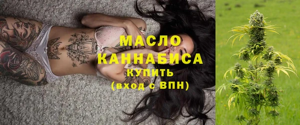 индика Богородск